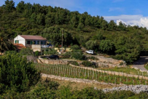 House Paradiso
